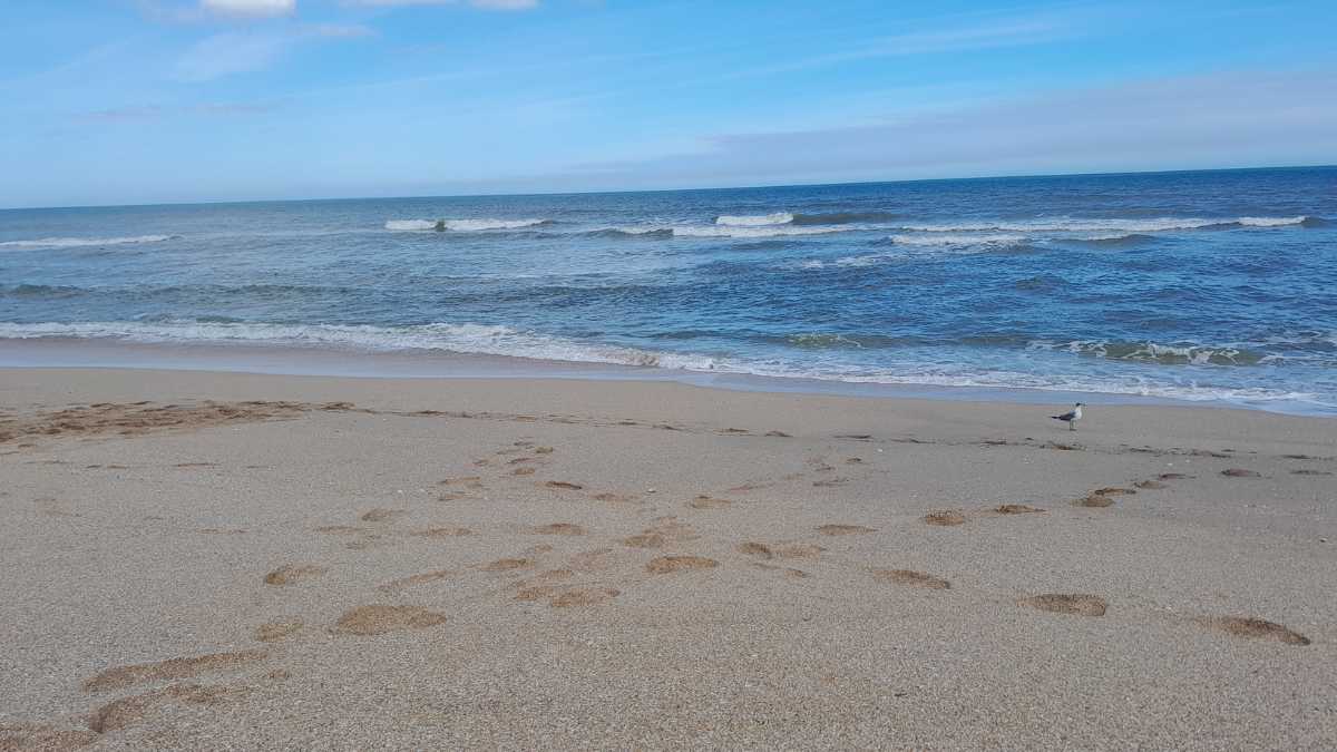 Le Spiagge più Belle di Salerno: Un Paradiso da Scoprire