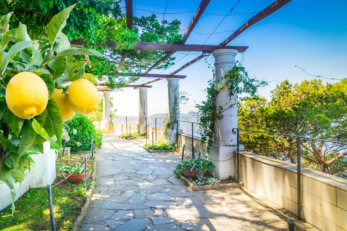 Panorama di Capri con i Faraglioni sullo sfondo e il blu del mare